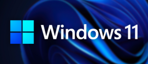 EndNote for Windows 11